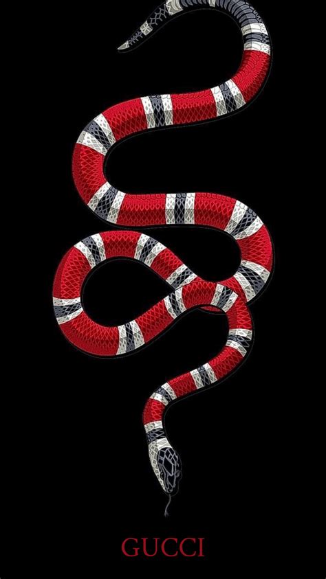 guccis snake|why does gucci use snake.